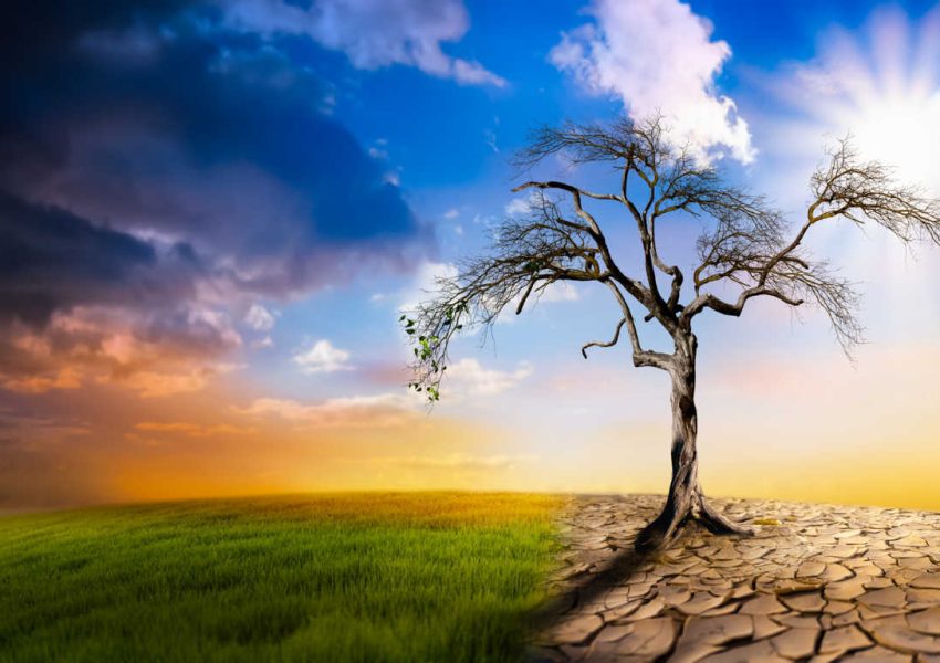 shutterstock_1513266161(FILEminimizer)